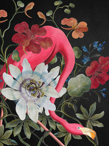 The Flamingo behind the Passion Flower
