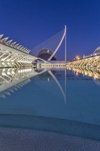 Stadt der Künste und Wissenschaften, Valencia - 1 von Tux Photography