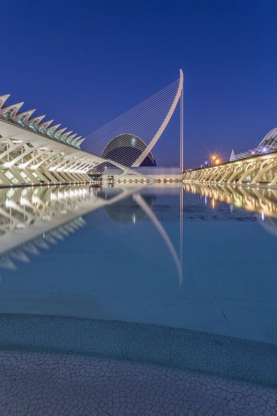 City of Arts and Sciences, Valencia - 1 van Tux Photography