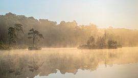 Sonnenaufgang in der Nähe des Voorst Goorven von Ron Frenken