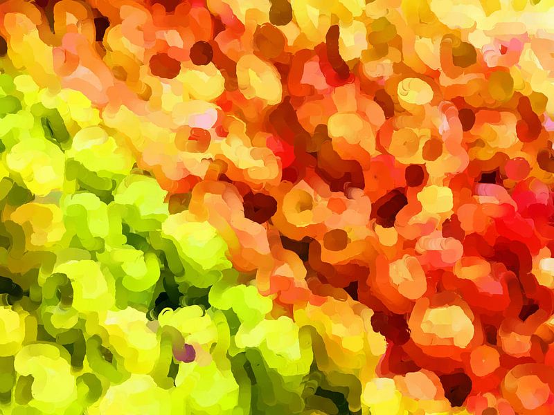 Summertime Garden Apples von Judith Robben