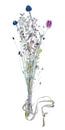 Getrockneter Blumenstrauß mit Nigella von jowan iven Miniaturansicht