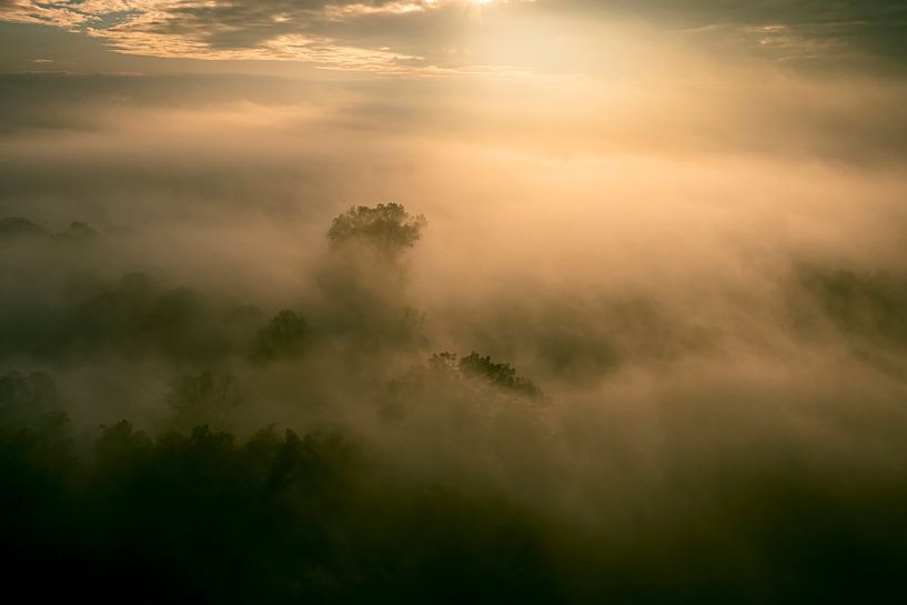 Misty forest overhead aerial view during autumn by Sjoerd van der Wal Photography