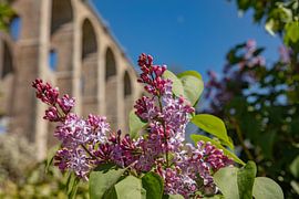 Chaumont-Viadukt mit Blumen von anne droogsma