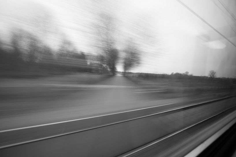 Die Welt rast vorbei von Robben