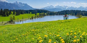 Kapelle am Hegratsrieder See, bei Füssen, Ostallgäu von Walter G. Allgöwer