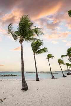 Plage de Sainte Anne, Caribbean beach on Guadeloupe