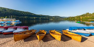 Titisee in the Upper Black Forest by Werner Dieterich