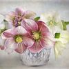 Flower Romantic - last colours von Lizzy Pe