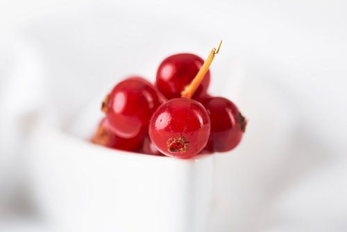 Zoete kleine vruchten - aalbes