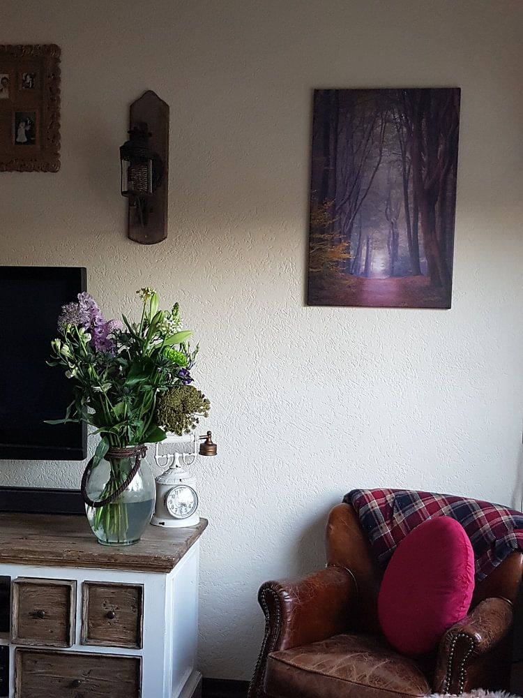 Into the Forest | Speulderbos  van Bob Vandenberg 