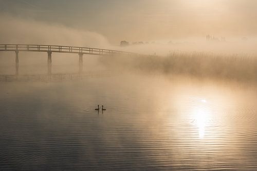 Koppel futen in mistige droomwereld bij zonsopkomst in de Allblasserwaard