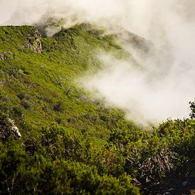 Mountain in the clouds by Sven van Rooijen