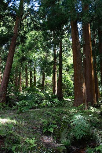 Parque Forestal de las Siete Fuentes