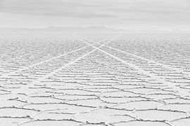 Waarheen? by Jelmer Jeuring