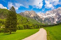 Pad door een vallei in de Alpen in de lente van Sjoerd van der Wal Fotografie thumbnail