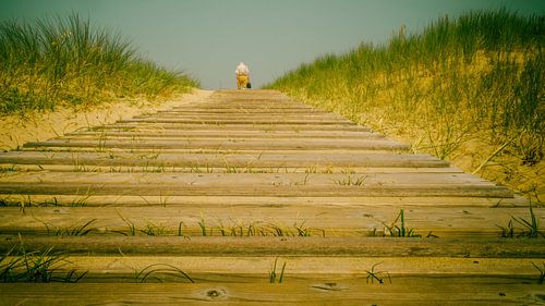 To the beach (analog colour)