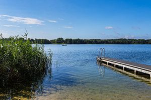 Steg und Schilf am Schaalsee im Sommer bei Lassahn