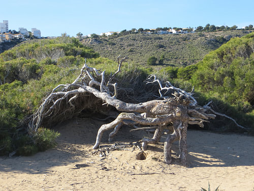 Natuurstrand In Spanje