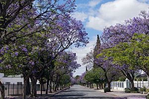Graaff Reinet