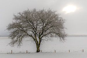 Niederländische Winterlandschaft #3