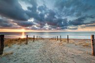 romantic path to the sand beach at sunset van Olha Rohulya thumbnail