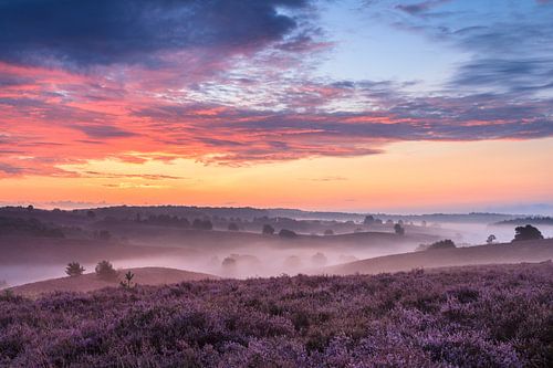 Spektakulärer Sonnenaufgang vom Zijpenberg mit Blick auf die Posbank