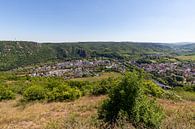 Panoramisch uitzicht van Bad Münster am Stein-Ebernburg in Rijnland-Palts, Duitsland van Reiner Conrad thumbnail