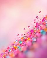 Kaleidoskop der Farben 
