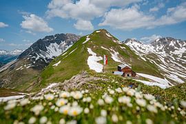 prachtig bloemrijk uitzicht in de Lechtaler Alpen bij Zürs op weg naar de Stuttgarter Hütte van Leo Schindzielorz