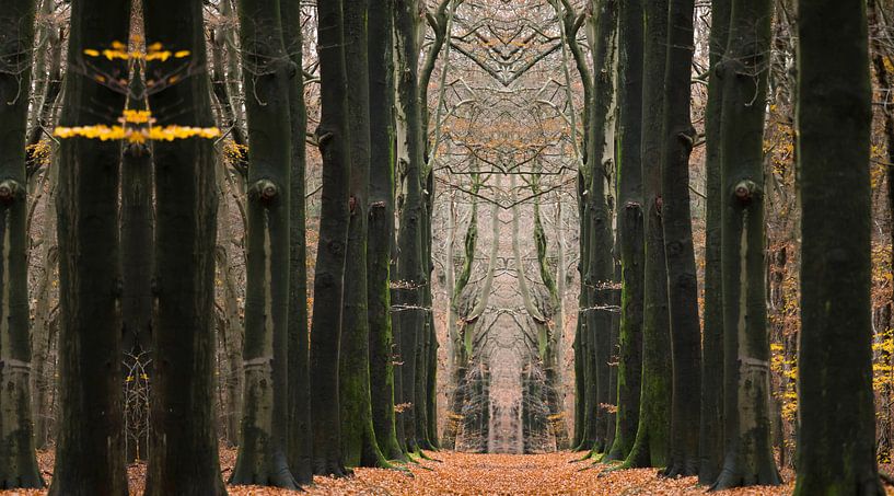 Allee mit Buchen in einem Märchenwald im Herbst von Ger Beekes