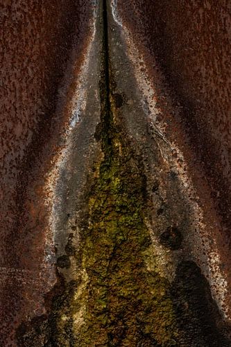 Rost, gezeichnet von Natur und Wetter 1