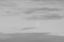 Hidden moon by Frenneke van Oers