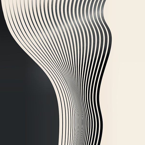 Wavy Lines In A Black And White Color Scheme by ThingDesign 