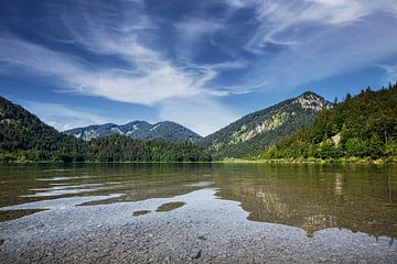 Middle Lake by Tim Lee Williams