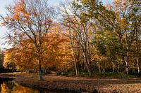 Restoring colours on Walcheren