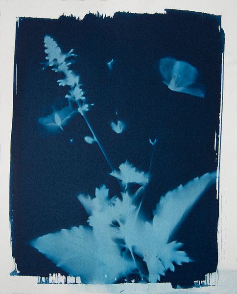 Dreamy by Greetje Heemskerk