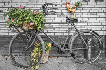 Altes Transportfahrrad mit Hahn