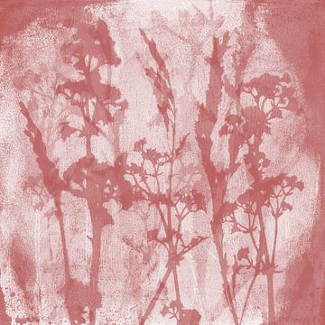Wiese träumt. Botanische Illustration im Retro-Stil in Rosa und Weiß von Dina Dankers