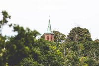 Church spire towering over a forest