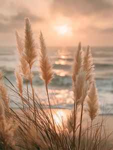 Un moment avant la nuit