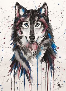 Wolf aquarel in kleur