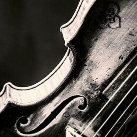 Violin by Stephan Zaun