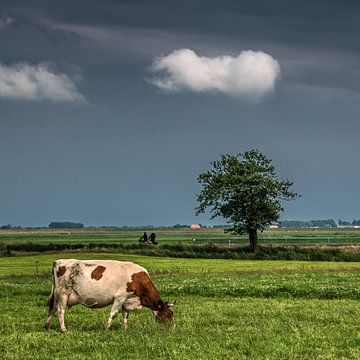 Landschap in Friesland met koe en fietsers nabij het dorpje Sondel van Harrie Muis