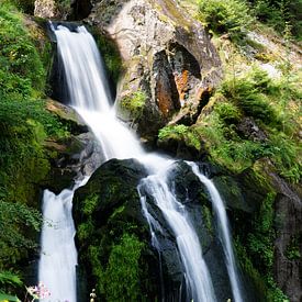 Waterval in Triberg (Duitsland) van Karin van Waesberghe