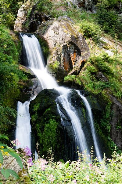 Wasserfall in Triberg (Deutschland) von Karin van Waesberghe