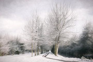 Winter is Here van Lars van de Goor