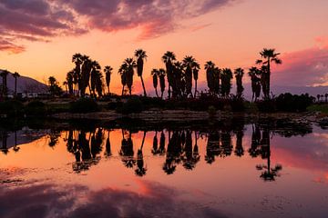Palm Springs (USA) bei Sonnenuntergang von Jimmy van Drunen
