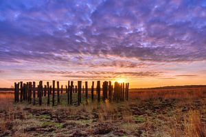 Grafheuvel voor zonsopkomst van Joran Quinten