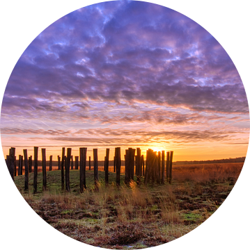 Grafheuvel voor zonsopkomst van Joran Quinten